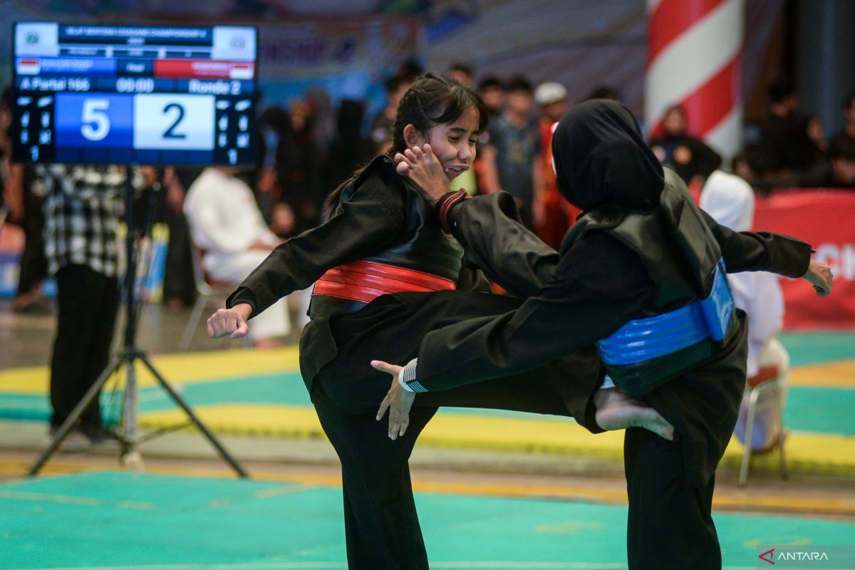 Pencak Silat Seni Beladiri