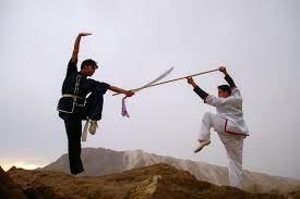 Panduan Teknik Senjata Kung Fu
