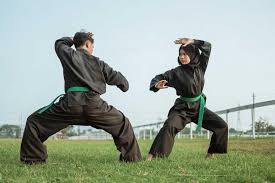 Pencak Silat Teknik Tubuh