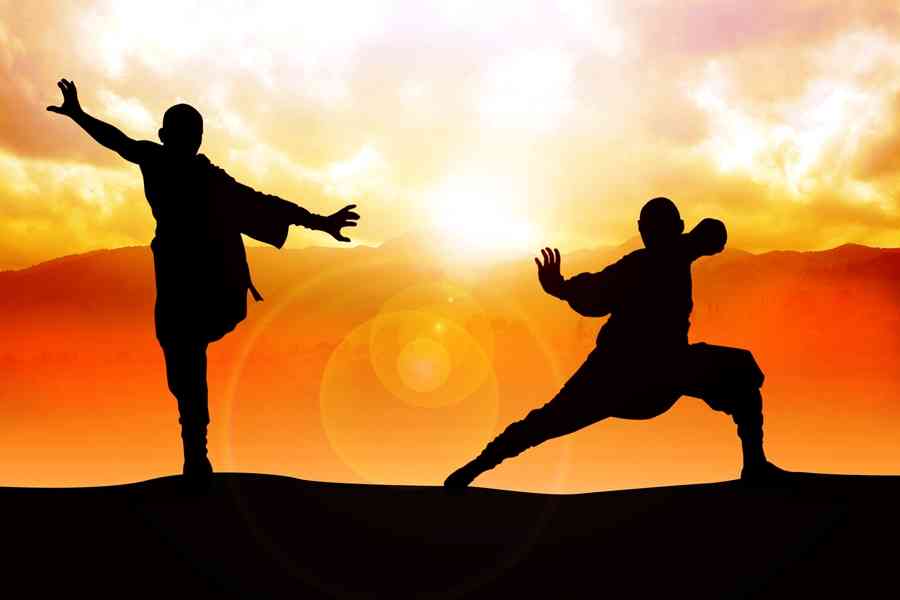 Teknik Bertarung Shaolin